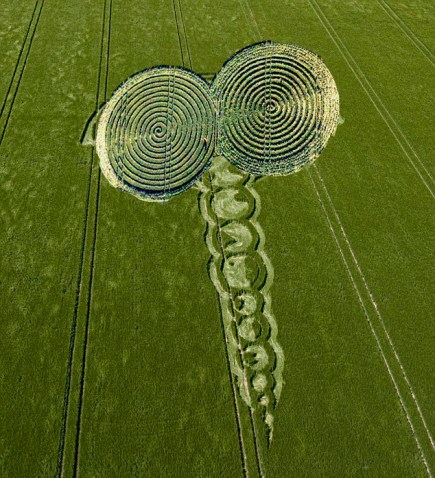 Crop Circle